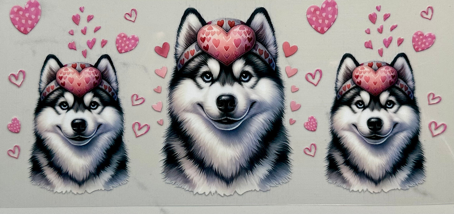 Valentine Husky