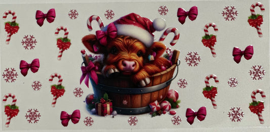 Highland Cow in a Christmas Bucket
