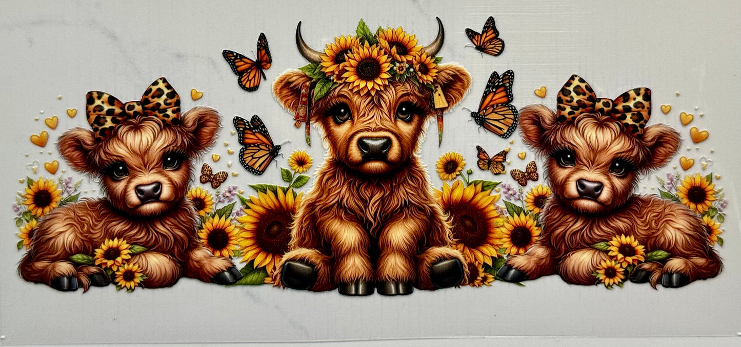 Sunflower Highland Cow