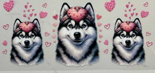 Valentine Husky