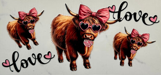 Highland Cow Love