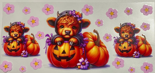 Cute Pumpkin Cow Design