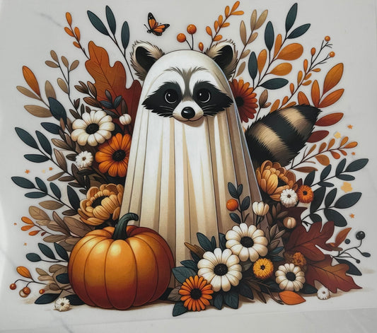 Fall Raccoon