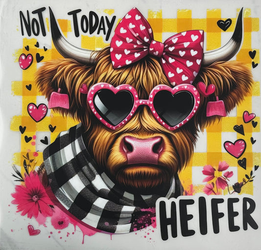 Not Today Heifer