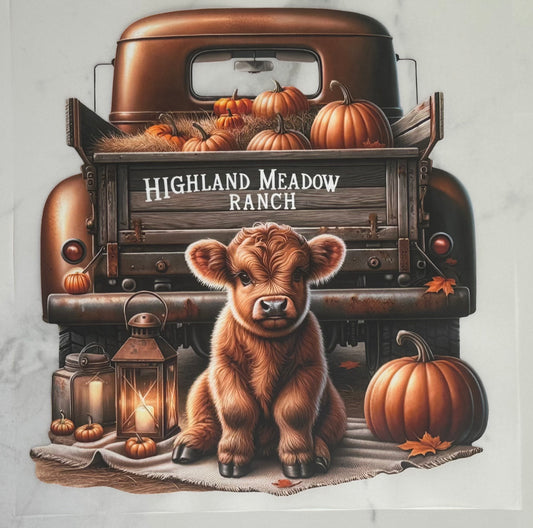 Highland Cow Ranch