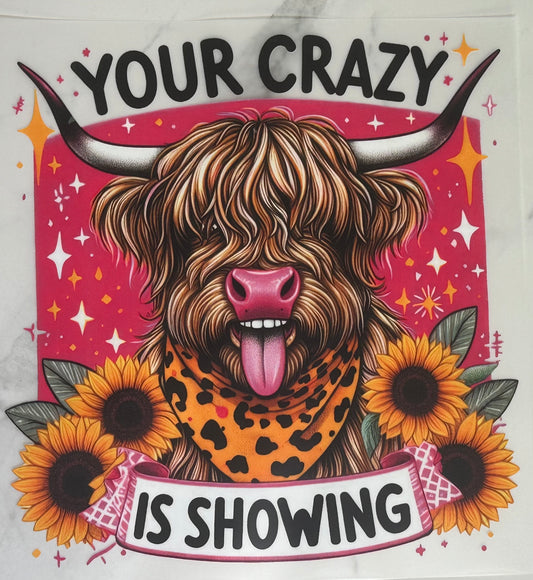 Your Crazy is Showing 2