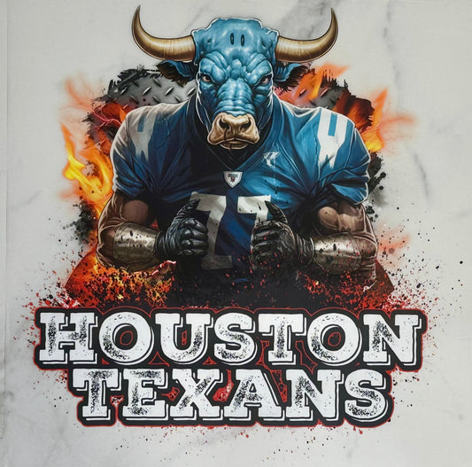 Houston Texans