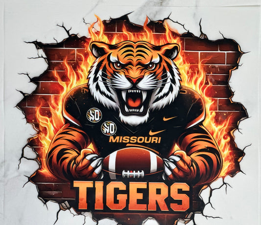 Missouri Tigers