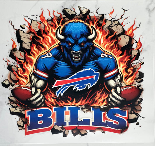 Bills(Football)