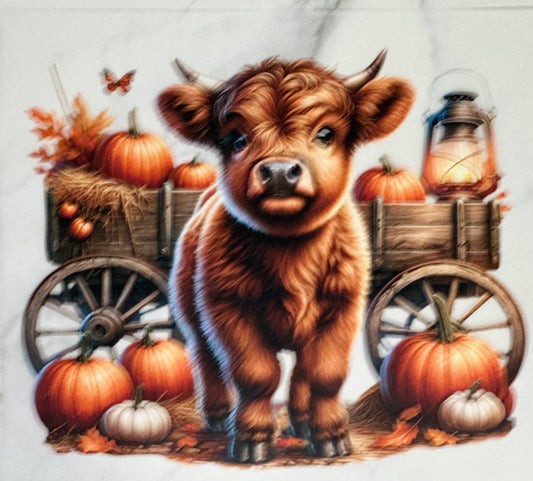 Fall Highland Cow