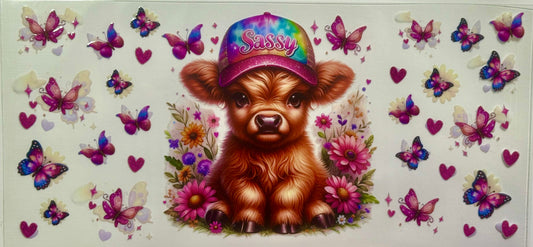 Sassy Highland Cow